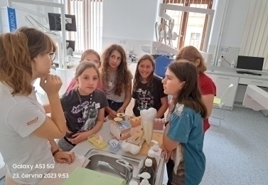 Projektové dny