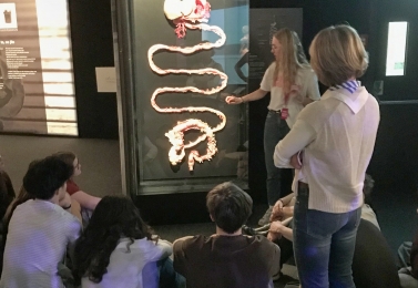 Návštěva výstavy BODY WORLDS